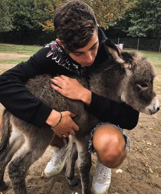 Anne Havertz son Kai Havertz is an animal lover especially donkey